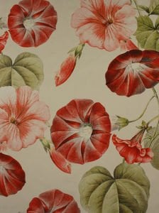 Çiçek Desen  ( 2139 ) Dijital Baskılı Çift En Kumaş 150 cm